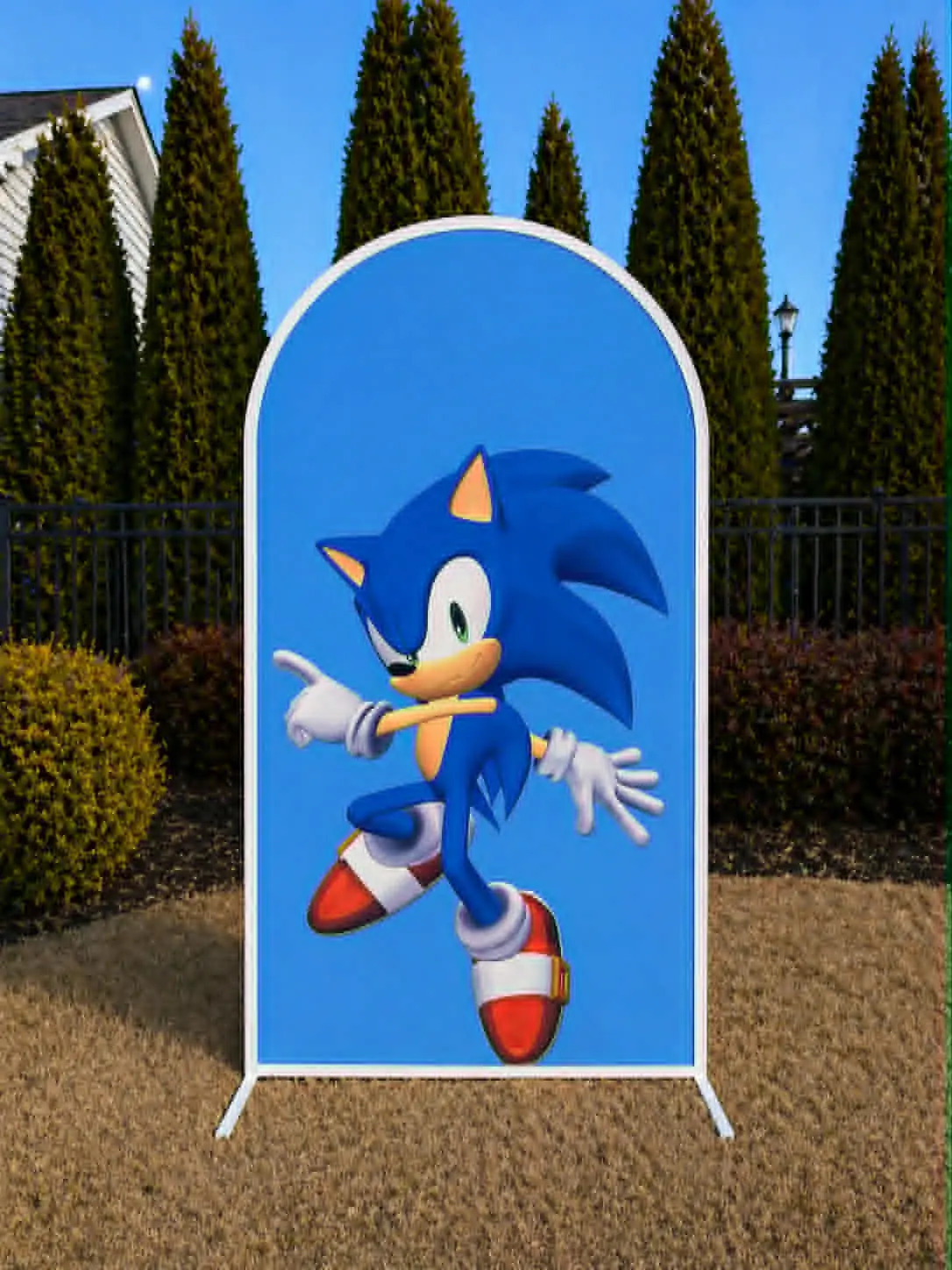 Custom Backdrops
